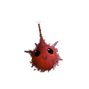 Psypai_