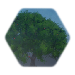 Apple Tree