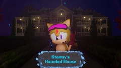 Stormy's Haunted House Poster
