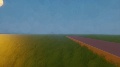 The Early Access Experiments