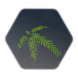 Fern