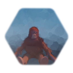 Orangutan