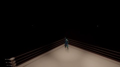 Champions Club single player