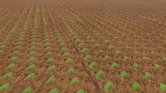 8000 detailed-ish mountains