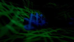 Sponge respawning