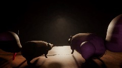 Raccoons in the Attic