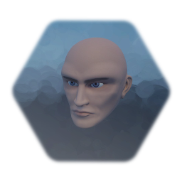 Scrapped Male Head 1