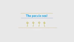 Paculo sea menu {G}