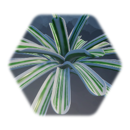Plant - Bromeliad Sheba White & Green