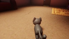 HOUSE WITH KITTEN VR