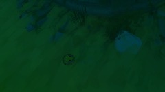 Jungle Treasure (Frog)