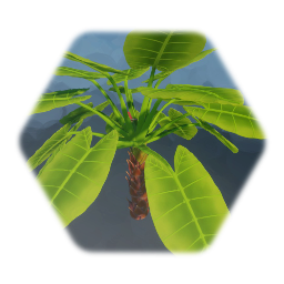 Jungle Plant - Alocasia Macrorrhiza / Elephant Ear