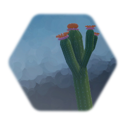 Saguaro Cactus