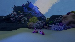 The incorrigible mantis shrimp