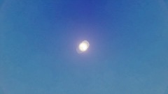 A screenshot taken in Dreams. 6 of 7.