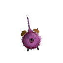 mmokus