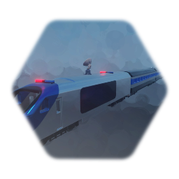 Police Train