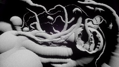 walk around the wax table befriend them