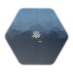 White Flower
