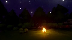 Night Time Forest