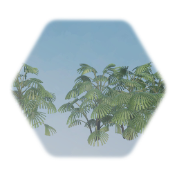 Lady Dwarf Palm Tree