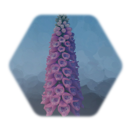 Foxglove Flower