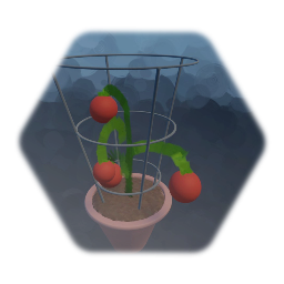 Tomato Trellis Cage