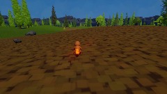 Pokemon Sibinnac Forest Charizard