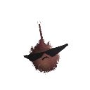 Rock-Keits