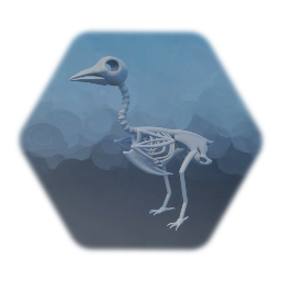 Bird Skeleton (Flying)