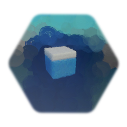 Snow Block
