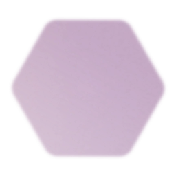 Project: Zenith Graphics