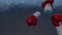 Boxing Glove v2