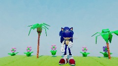 Sonic forms test Animation