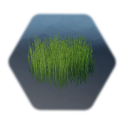 Grass