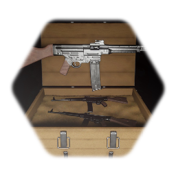 <term>STG 44 Versions/Skins