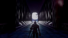 Zelda Souls Infinity Lake