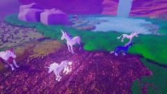 Makayla's pony dream