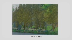 Liner Forest