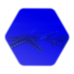 Star fish collection