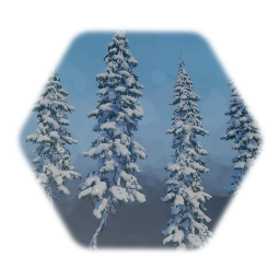Snow-covered Spruce Tree