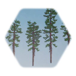 Ponderosa Pine Tree 1 sculpt