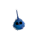 Pisa_suavee