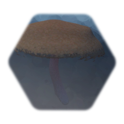 Mushroom with gills