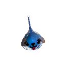 ClownBoyTheNinja
