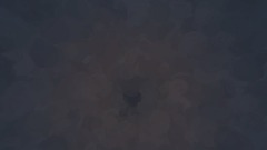 Ppt 3 daddy long legs
