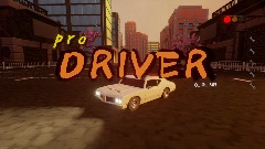 pro DRIVER