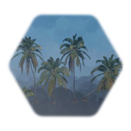 Coconut Palm Tree/ Cocos Nucifera