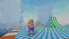 Wario's Test Level Adventure DVD