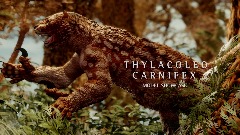 Thylacoleo habitat (for model showcase)